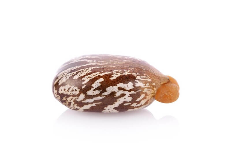 castor-oil-1