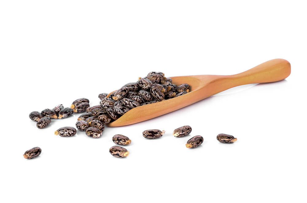 with-castor-oil-1